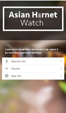 The Asian hornet watch app